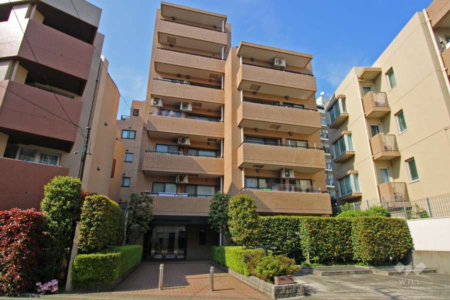 藤和自由が丘ホームズの外観（南側から）