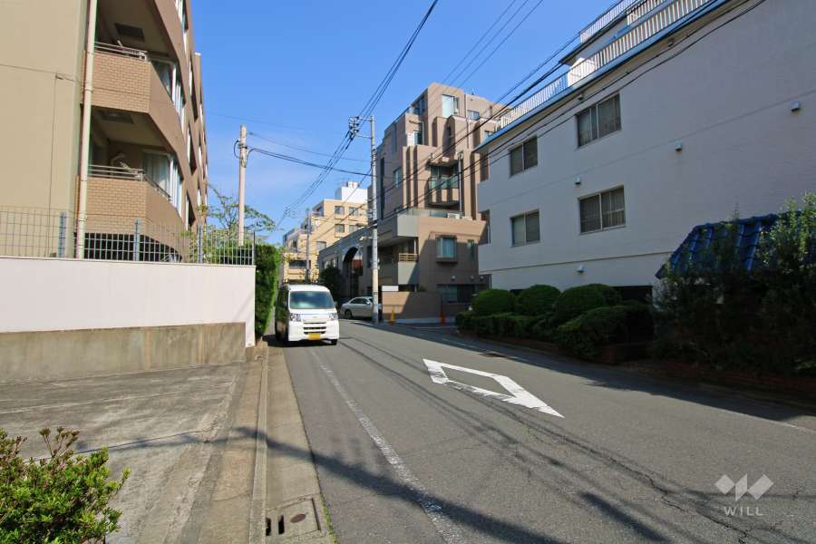 敷地南側の前面道路（西側から）