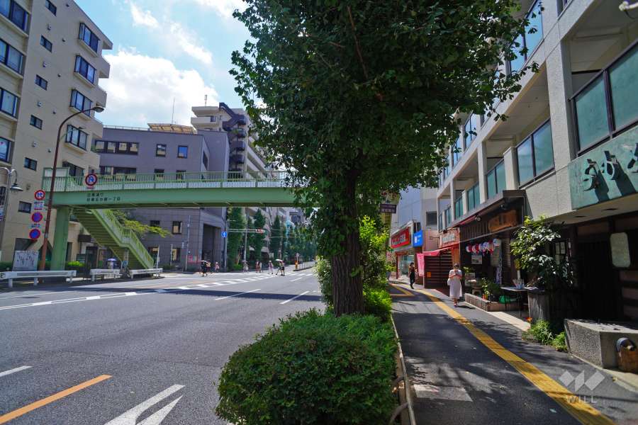 敷地南側の前面道路（東側から）