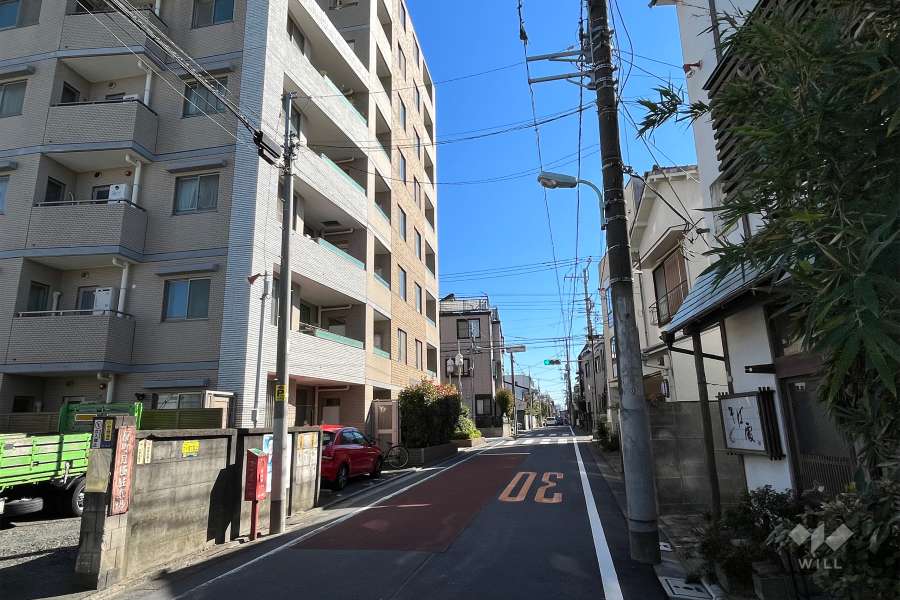 敷地南側の前面道路（西側から）