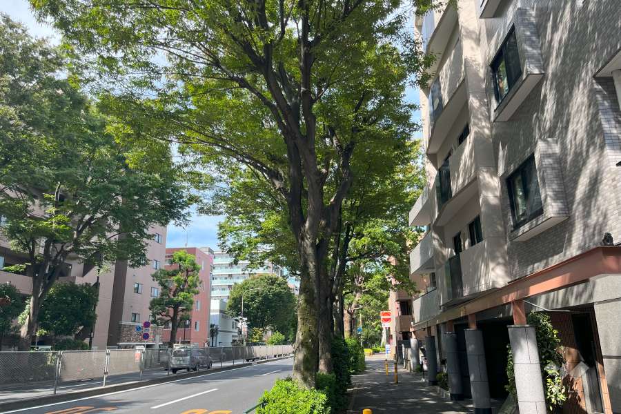 敷地南西側の前面道路（南東側から）