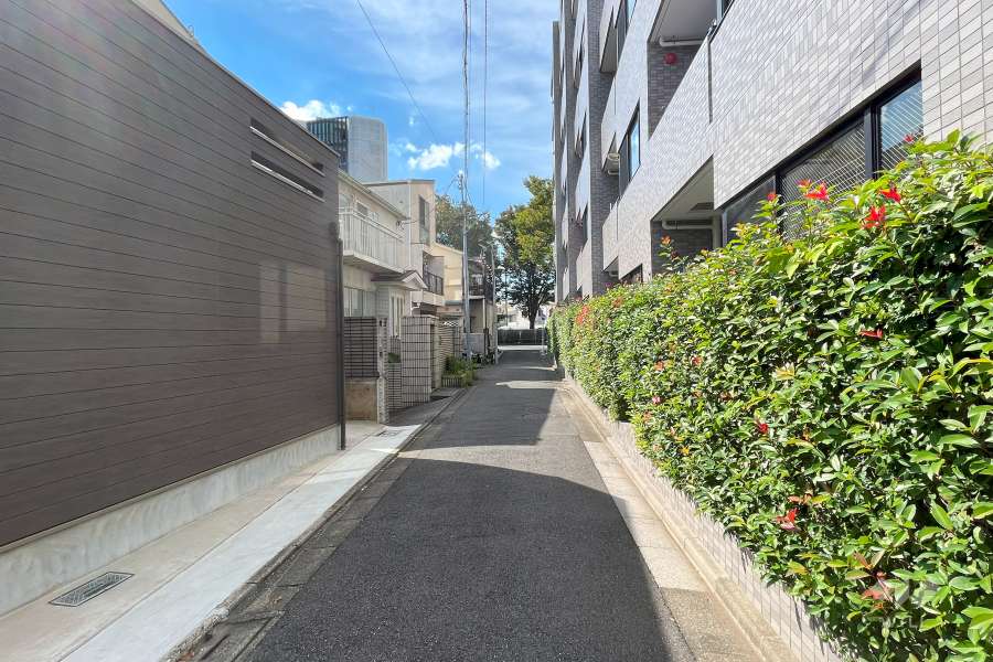 敷地南東側の前面道路（北東側から）