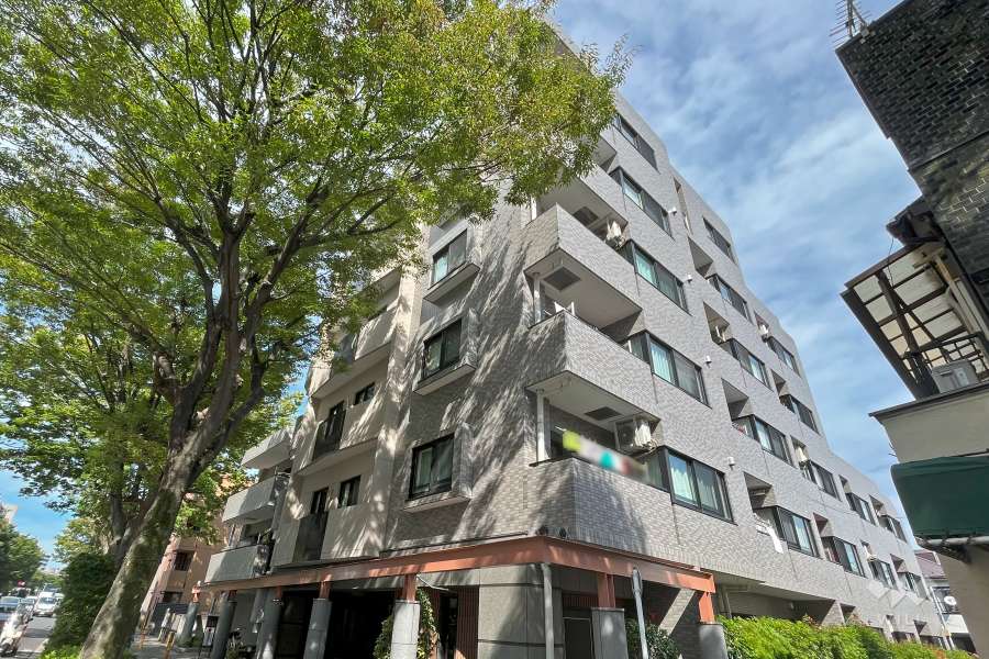 キャニオングランデ碑文谷南の外観（南側から）