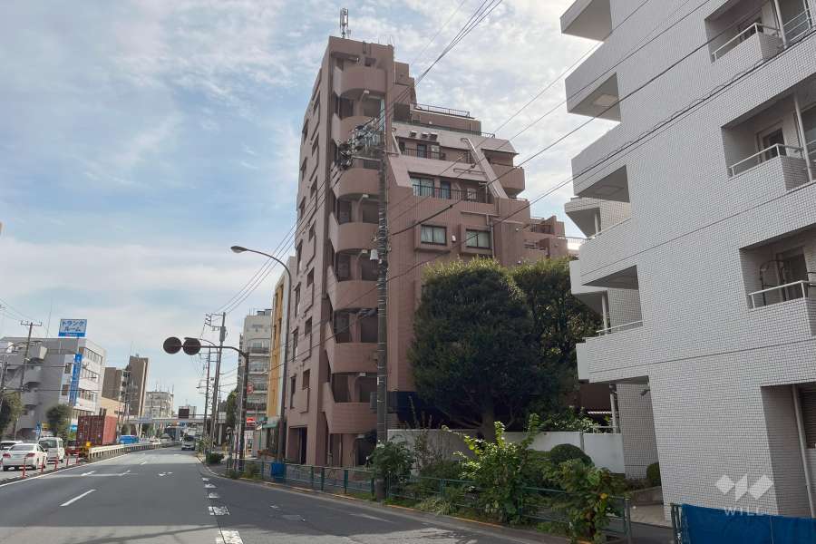 敷地の東側前面道路（北側から）