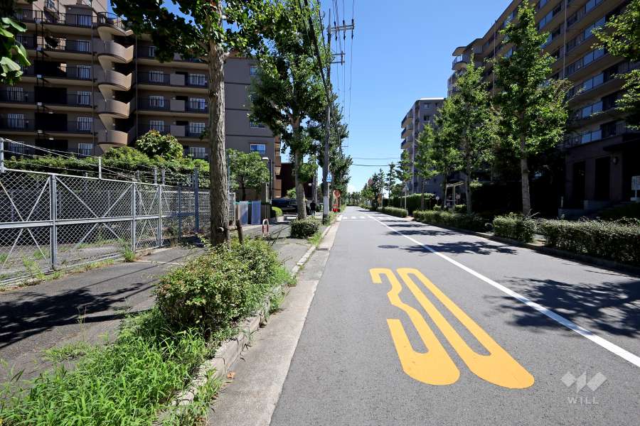 敷地西側の前面道路
