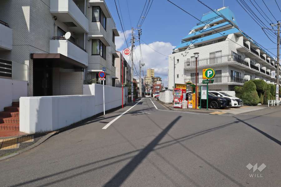 敷地南西側の前面道路(南西側から)