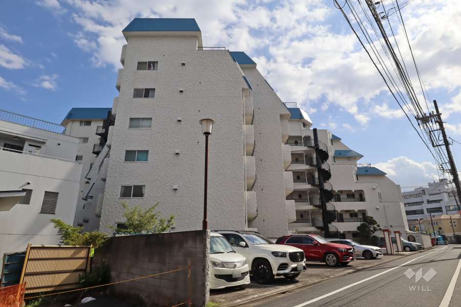 秀和洗足レジデンスの外観(西側から)