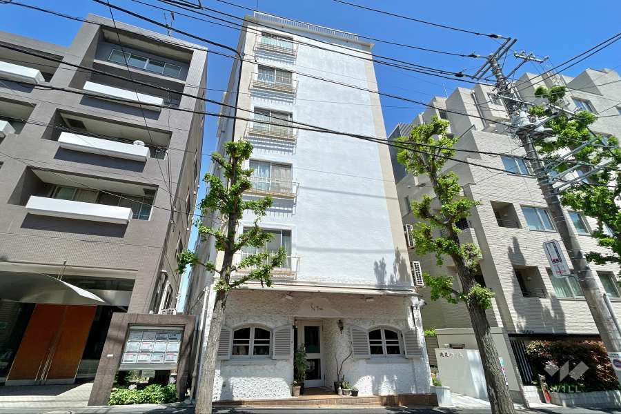 洗足ハイムの外観（西側から）