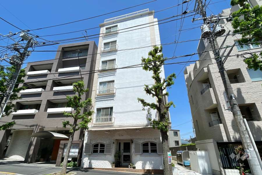 洗足ハイムの外観（南西側から）