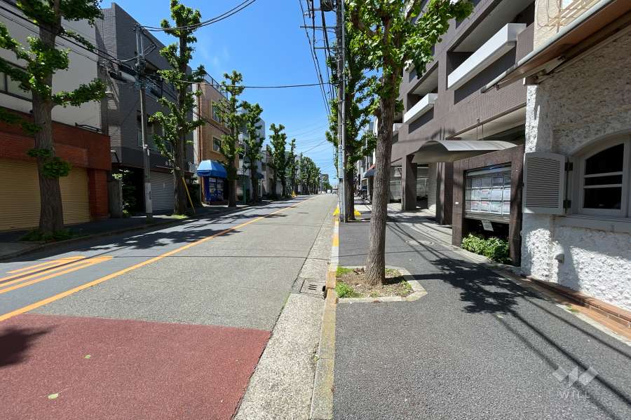 敷地南西側の前面道路