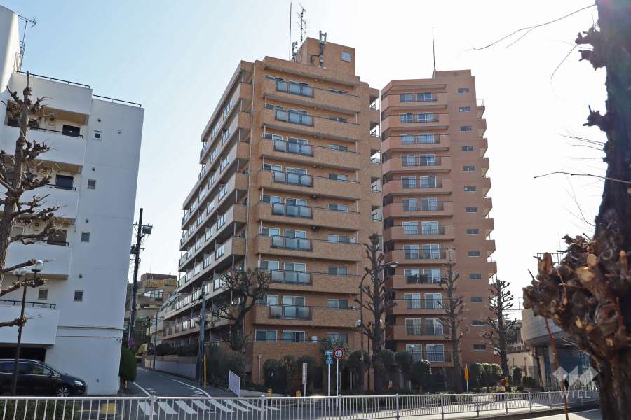 都立大イーストハイツの外観（北側から）