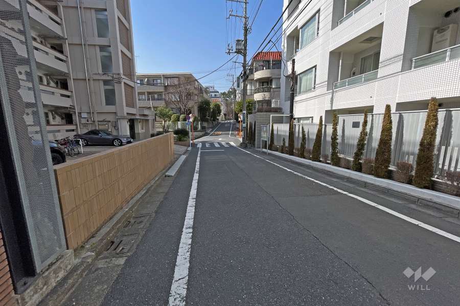 敷地北東側の前面道路（南東側から）