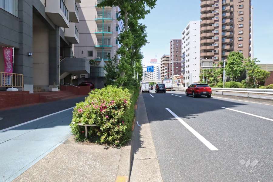 敷地北東側の前面道路（都道317号山手通り）