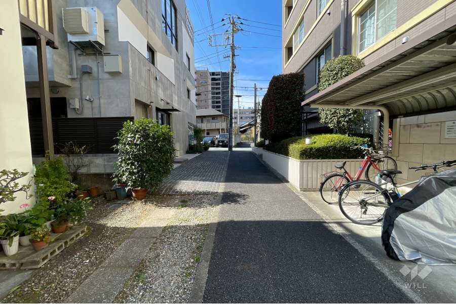 敷地の南東側前面道路（北東側から）