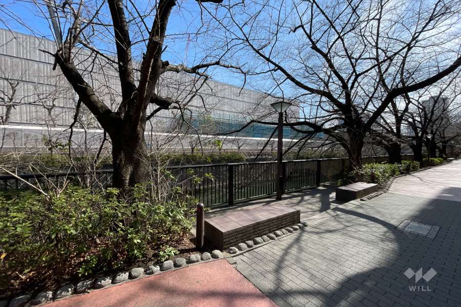 敷地の北東側に目黒川が流れています。