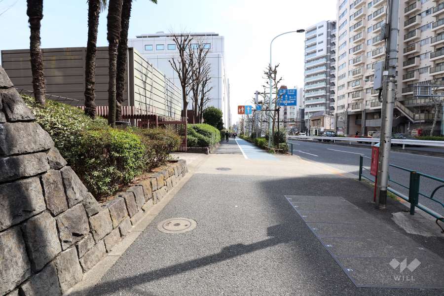 敷地西側の前面道路