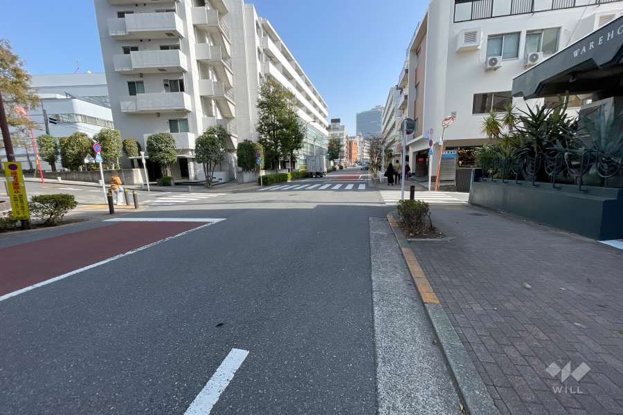 敷地東側の前面道路