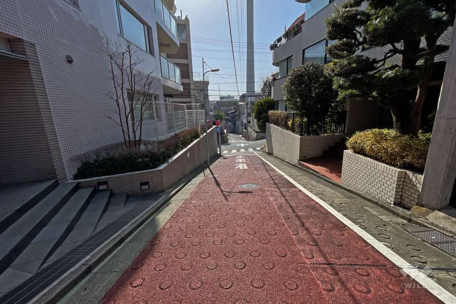 敷地北西側の前面道路（北東側から）