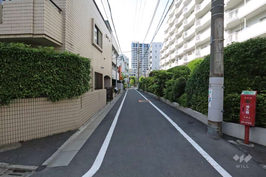 敷地南西側の前面道路(南東側から)