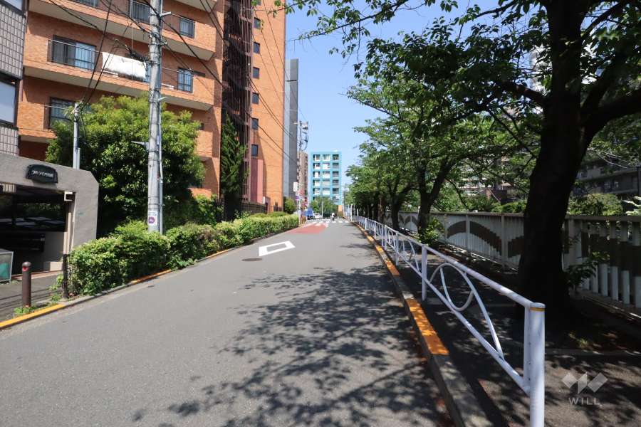 敷地北東側の前面道路