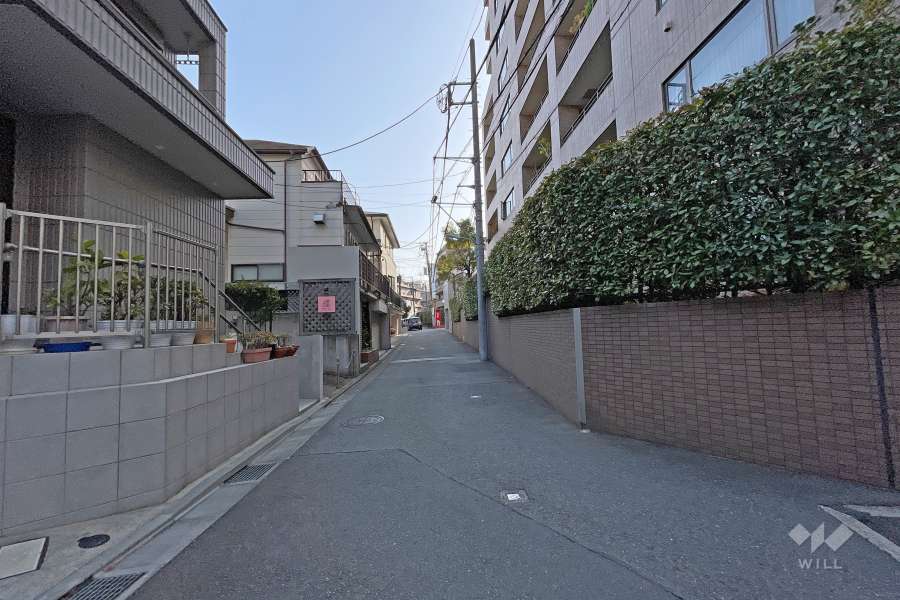 敷地東側の前面道路