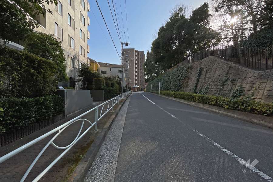 敷地西側の前面道路（北東側から）