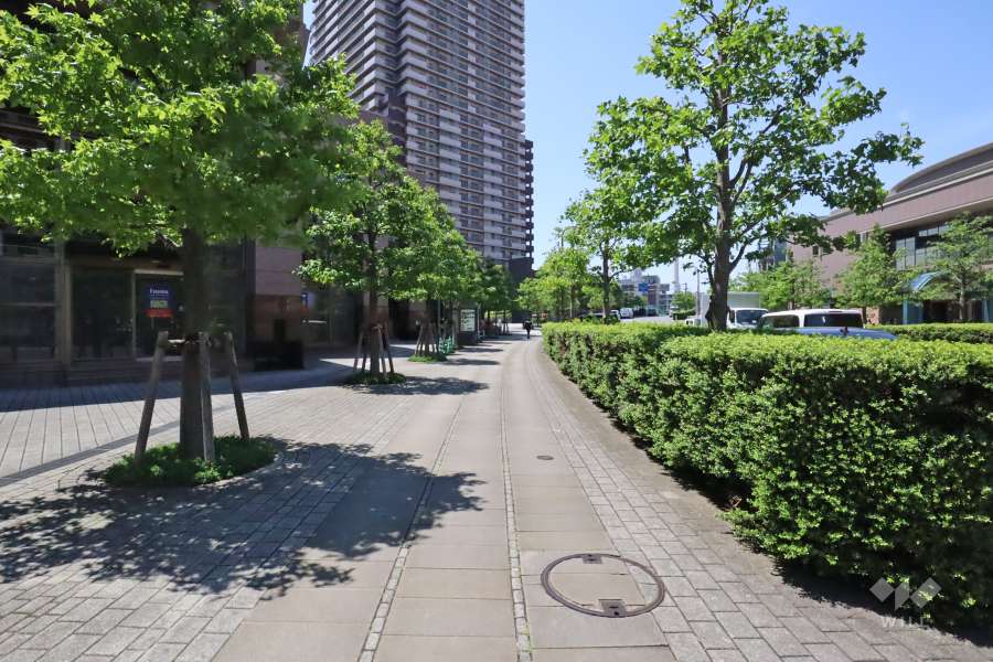 敷地北西側の前面道路(南西側から)