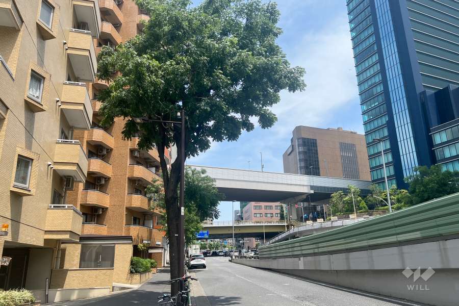 敷地東側の前面道路