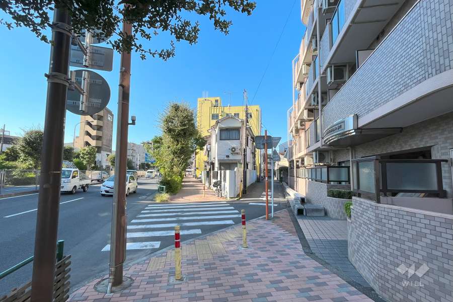 敷地西側の前面道路（南側から）