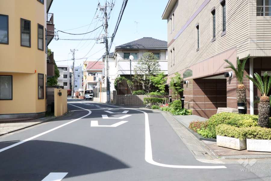 敷地西側の前面道路(南側から)