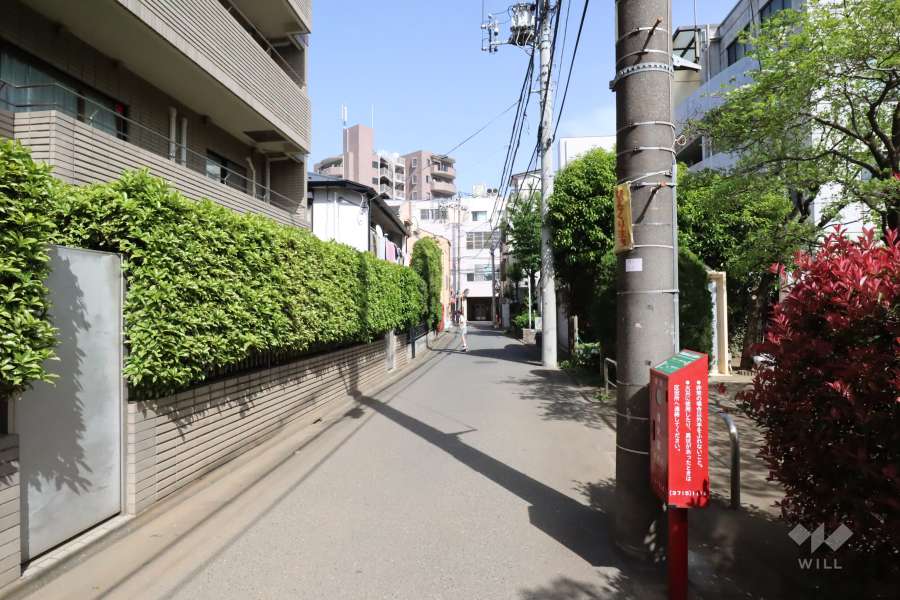 敷地南側の前面道路(西側から)