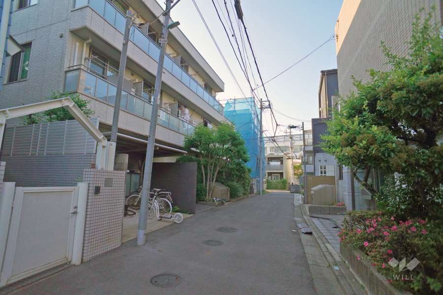 敷地西側の前面道路（南側から）