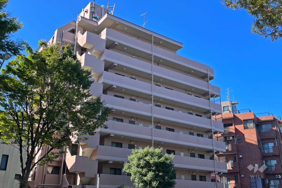 マイキャッスル目黒南の外観（南側から）