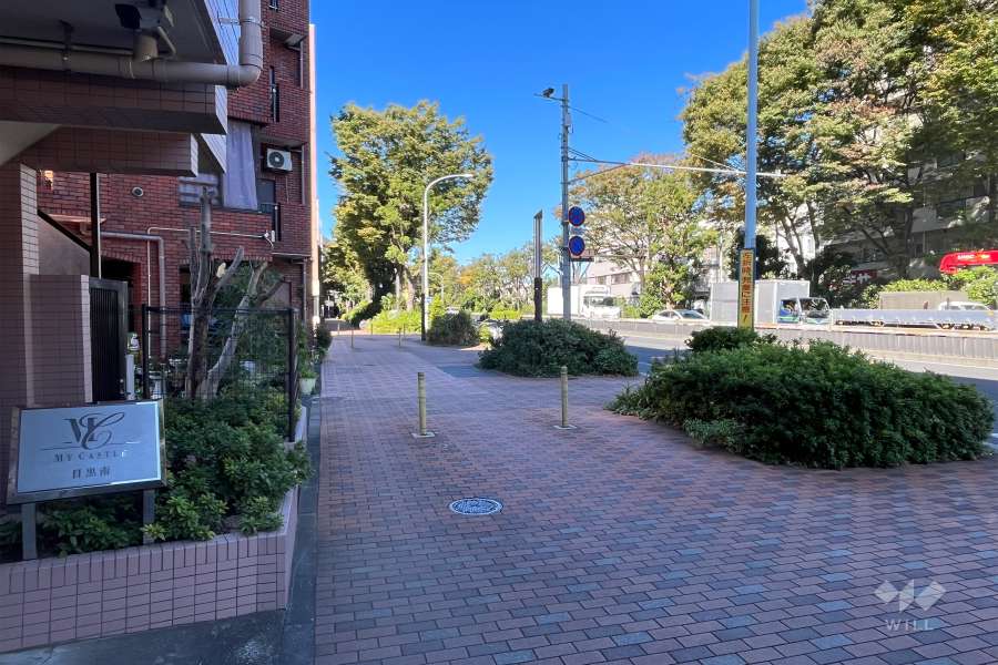 敷地東側の前面道路（南側から）