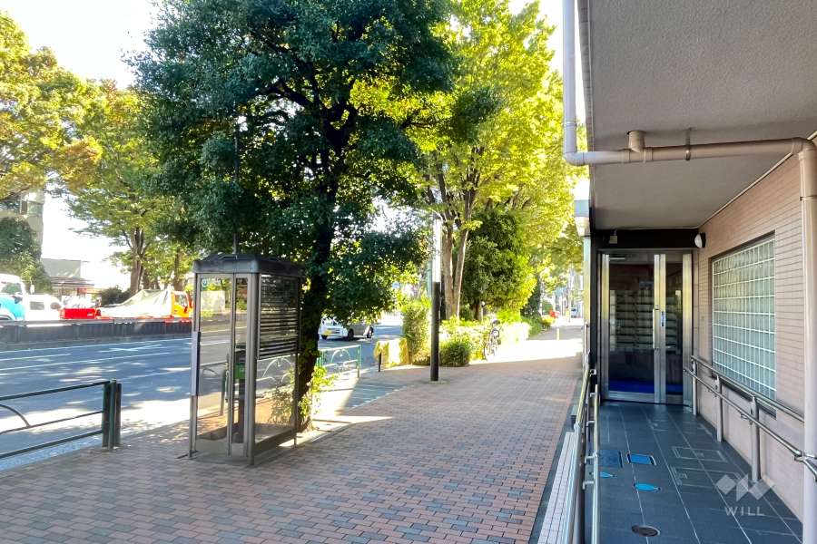 敷地東側の前面道路（北側から）