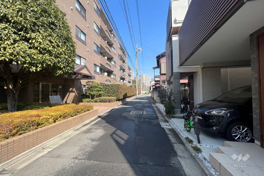 敷地東側の前面道路(南側から)