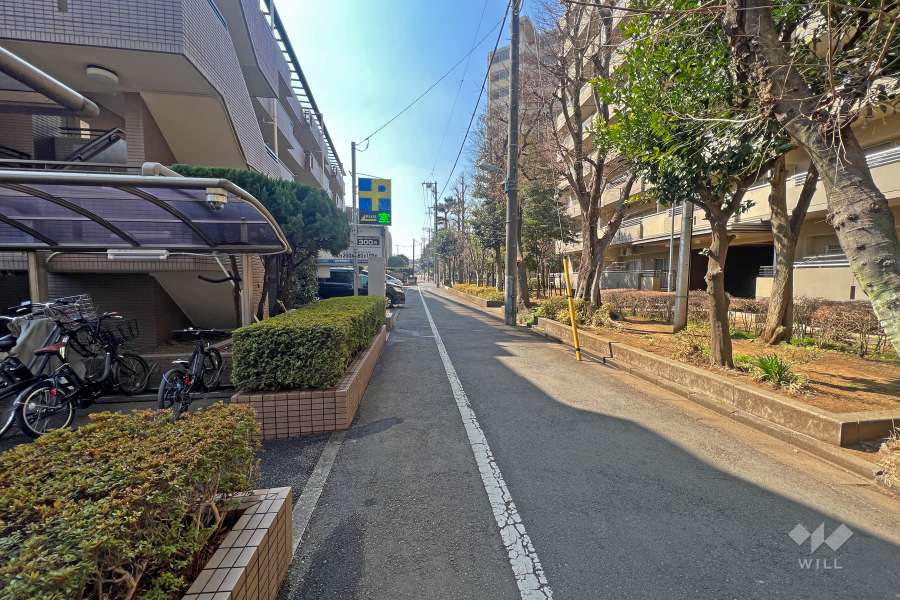 敷地西側の前面道路(北側から)