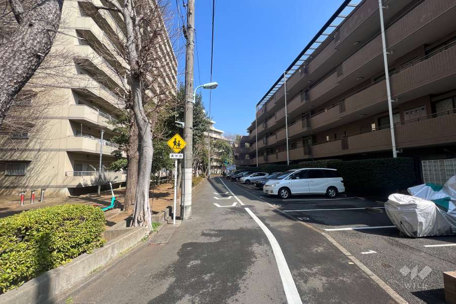 敷地西側の前面道路(南側から)
