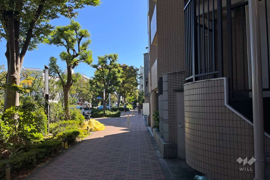 敷地の北東側前面道路（北西側から）