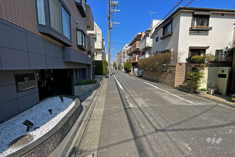 敷地東側の前面道路（南東側から）