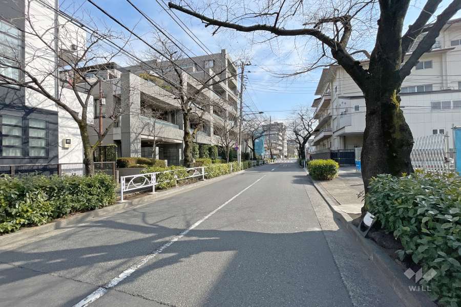 敷地西側の前面道路