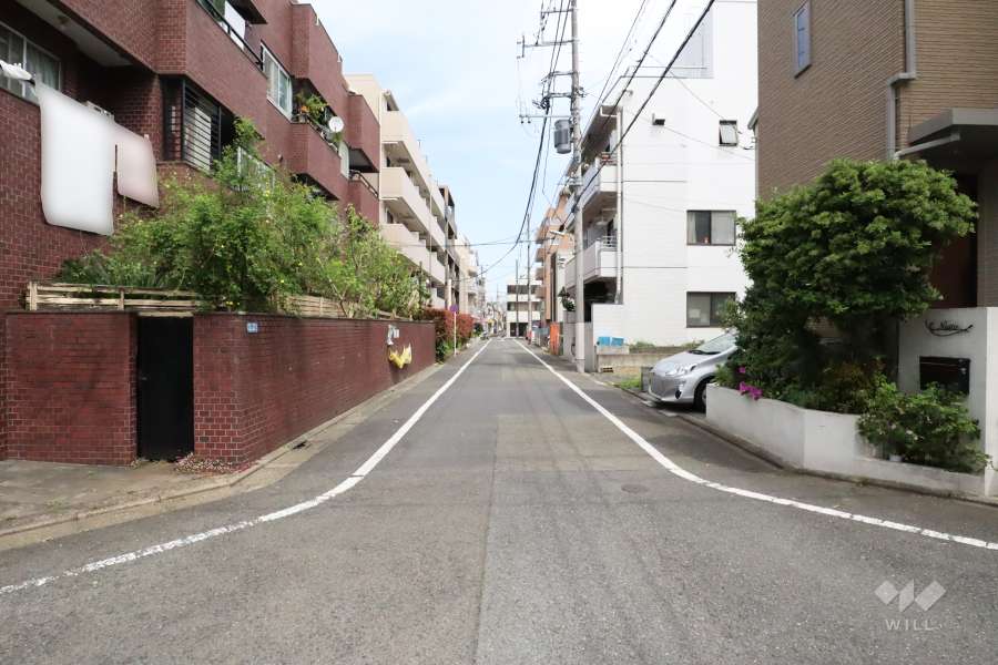敷地南側の前面道路(西側から)