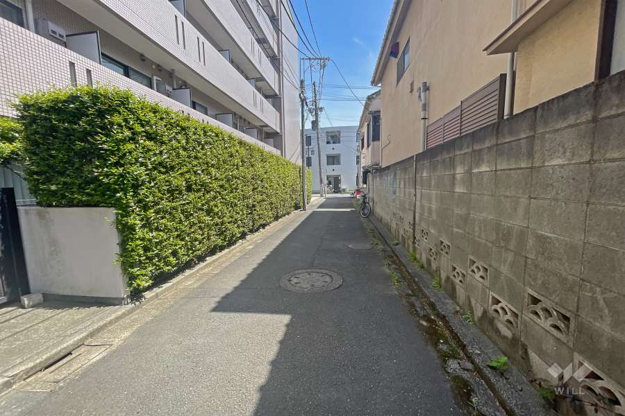 敷地南側の前面道路（西側から）