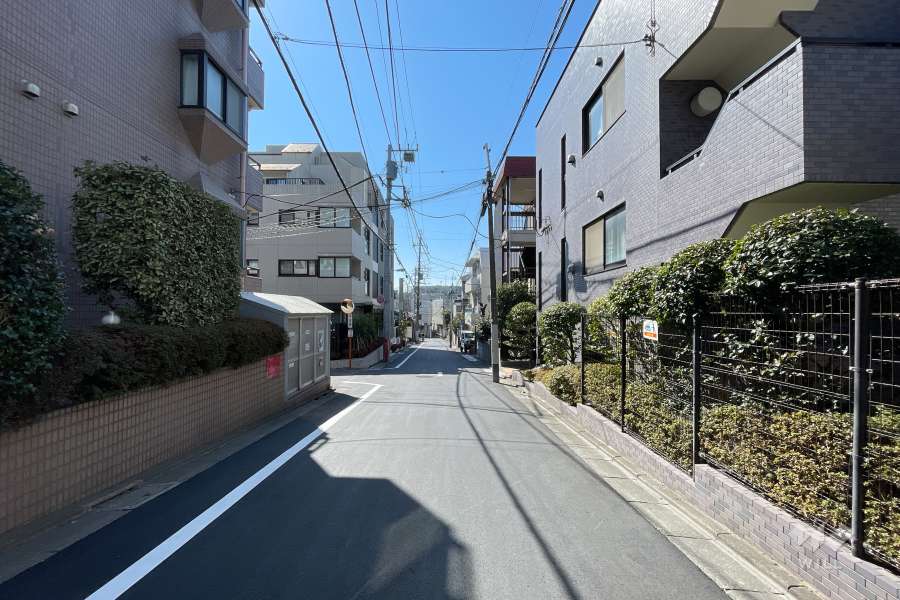 敷地東側の前面道路　