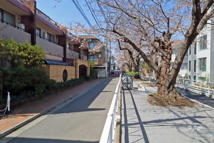 敷地北側前面道路