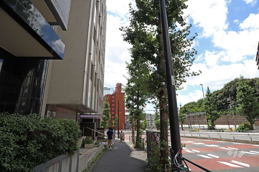 敷地北側の前面道路（北東側から）