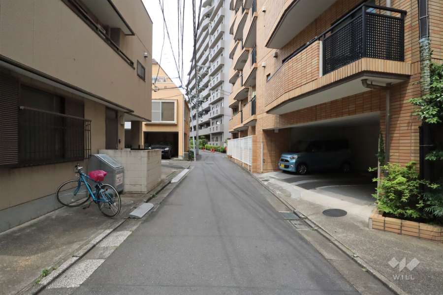 敷地西側の前面道路(南側から)