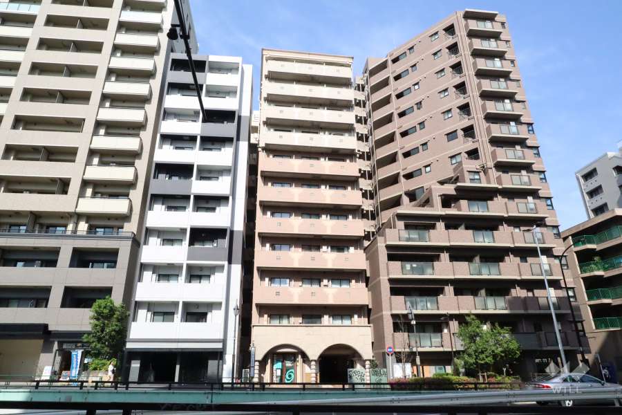 メゾンドヴィレ目黒の外観(西側から)