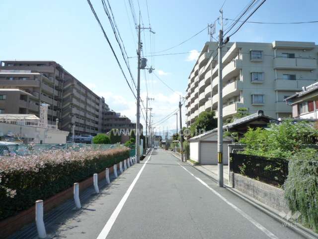敷地南側の前面道路。周辺は住宅の他、田畑も残り、のどかな雰囲気です。