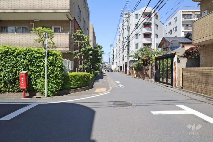 敷地北側の前面道路（東側から）
